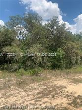 AVON PARK LAKE - Land