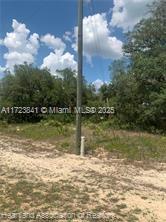 AVON PARK LAKE - Land