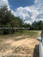 AVON PARK LAKE - Land