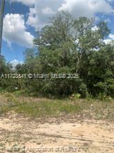 AVON PARK LAKE - Land