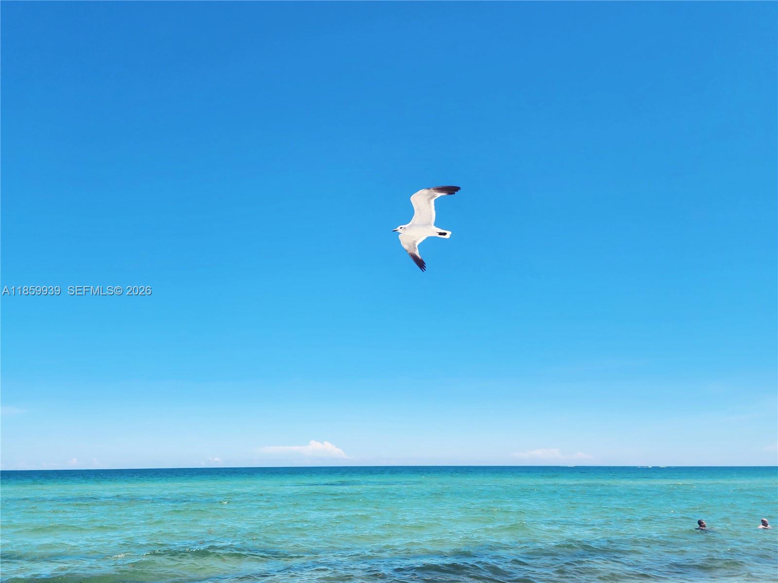 OCEANSIDE PLAZA CONDO - Residential