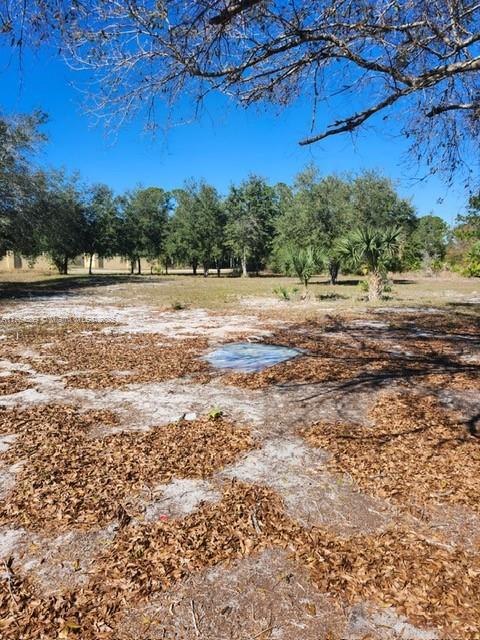 Remarkable Opportunity in Hendry County! This 1.25-acre parcel of land offers a serene and picturesque setting with beautiful, mature trees that provide both shade and privacy. Located in a peaceful area, this property is ideal for building your dream home or a private getaway. Enjoy the natural beauty and tranquility of the surrounding landscape while still having easy access to local amenities. With ample space to bring your vision to life, this property is a rare find! Don't miss out on this incredible chance to own a piece of paradise in Hendry County.