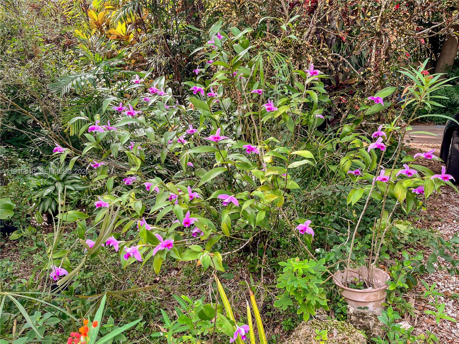 EAST UTOPIA - Residential