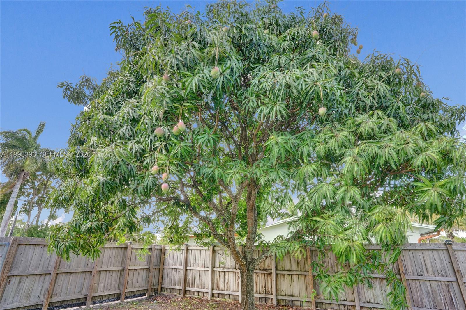 KIMBERLY FOREST - Residential