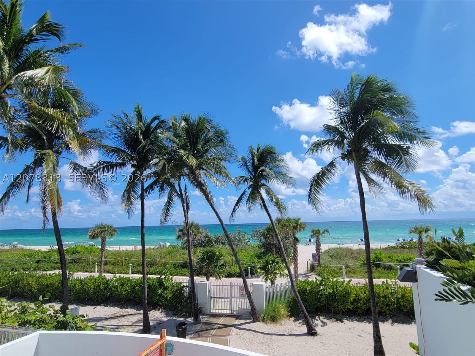 5151 Collins Ave 1036