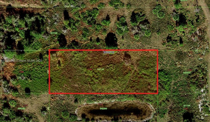 OWNER WILL FINANCE!!! NON BUILDABLE LOT! A FULL 2-ACRE LOT (87,120 SQ FT.) HIGH AND DRY VACANT LAND. GREAT PLACE TO 4X4, HUNT, CAMP OR HOLD FOR FUTURE INVESTMENT. OWNER WILL FINANCE!!! NO CREDIT, CHECK NO CREDIT NEEDED. $1,000 DOWN $274.81 A MONTH FOR 36 MONTHS @ 7% INTEREST.