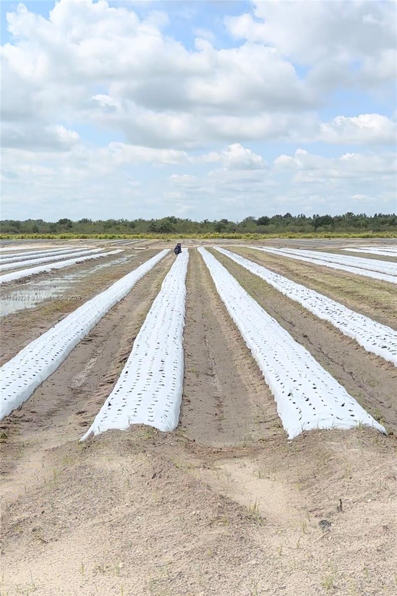 E&D Ranches - Residential Lease