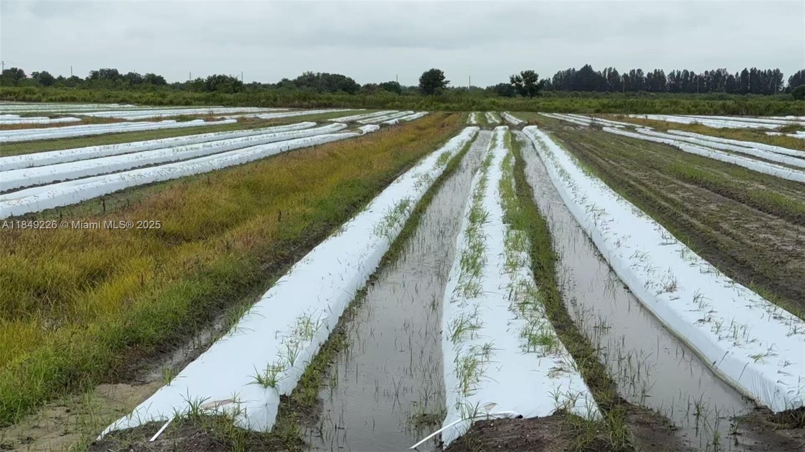 E&D Ranches - Residential Lease