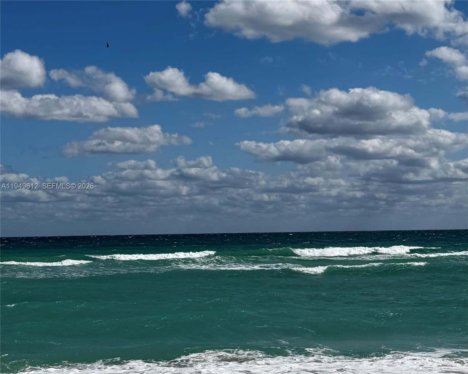 ALEXANDER TOWERS CONDO - Residential