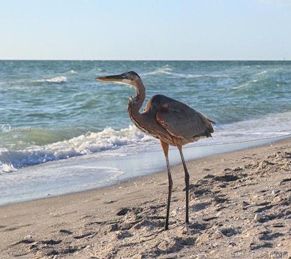 Tropical Gulf Acres - Land