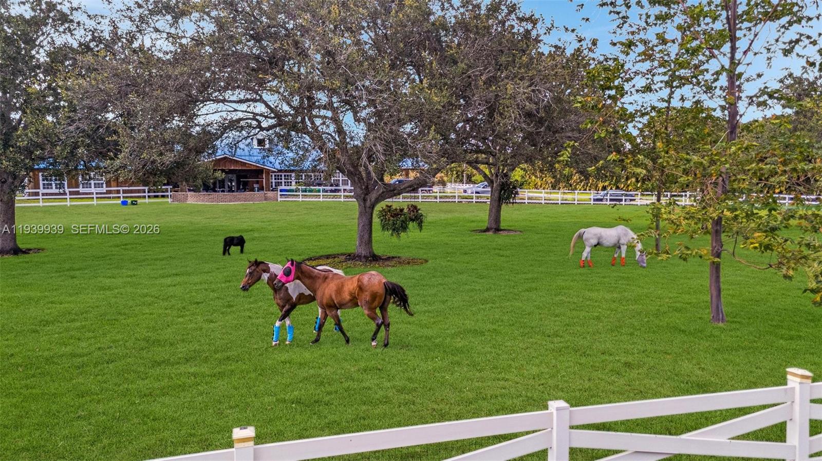 EVERGLADES SUGAR & LAND C - Residential