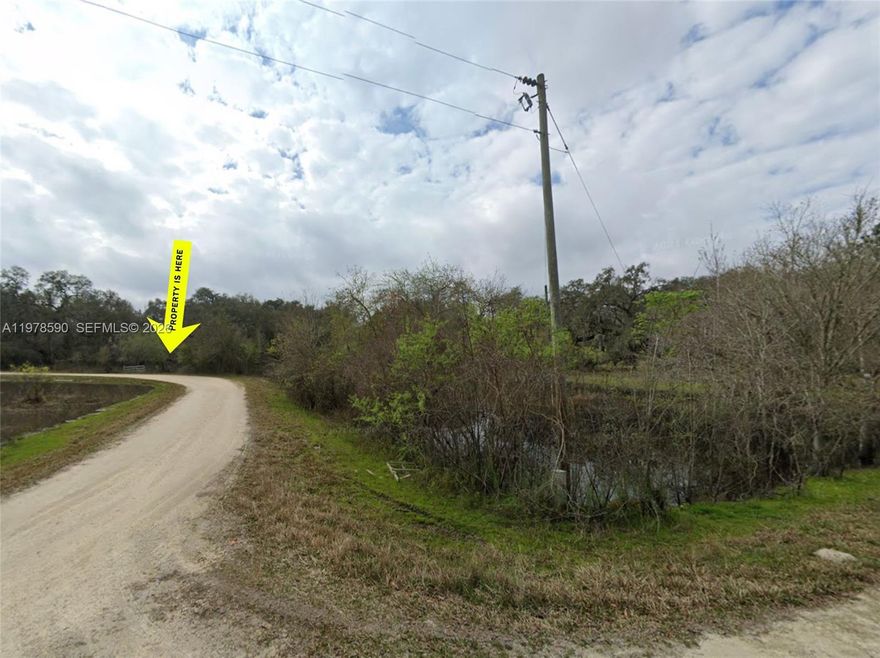 Rare opportunity to own a 24,061 sq ft (approx. 0.55 acre) residential lot on Coley St in Webster, FL, located in growing Hernando County. This spacious parcel provides plenty of room to build your dream home while enjoying privacy and a peaceful setting. Electric power is available on the nearby street, and the property will require well and septic, making it ideal for those seeking a quiet rural lifestyle with room to spread out.

The property is located on a street where other residential homes and lots are already established, offering a neighborhood feel while still maintaining the charm and space of country living. Webster is a steadily growing area just minutes from Brooksville, providing convenient access to shopping, dining, and everyday amenities while still enjoying the tranquility of Central Florida’s natural surroundings.

Seller financing available! Listed at $35,900, this is a great opportunity for investors, builders, or anyone looking to secure land in an up-and-coming area of Hernando County. Don’t miss the chance to own a large homesite in a developing area with strong future potential.