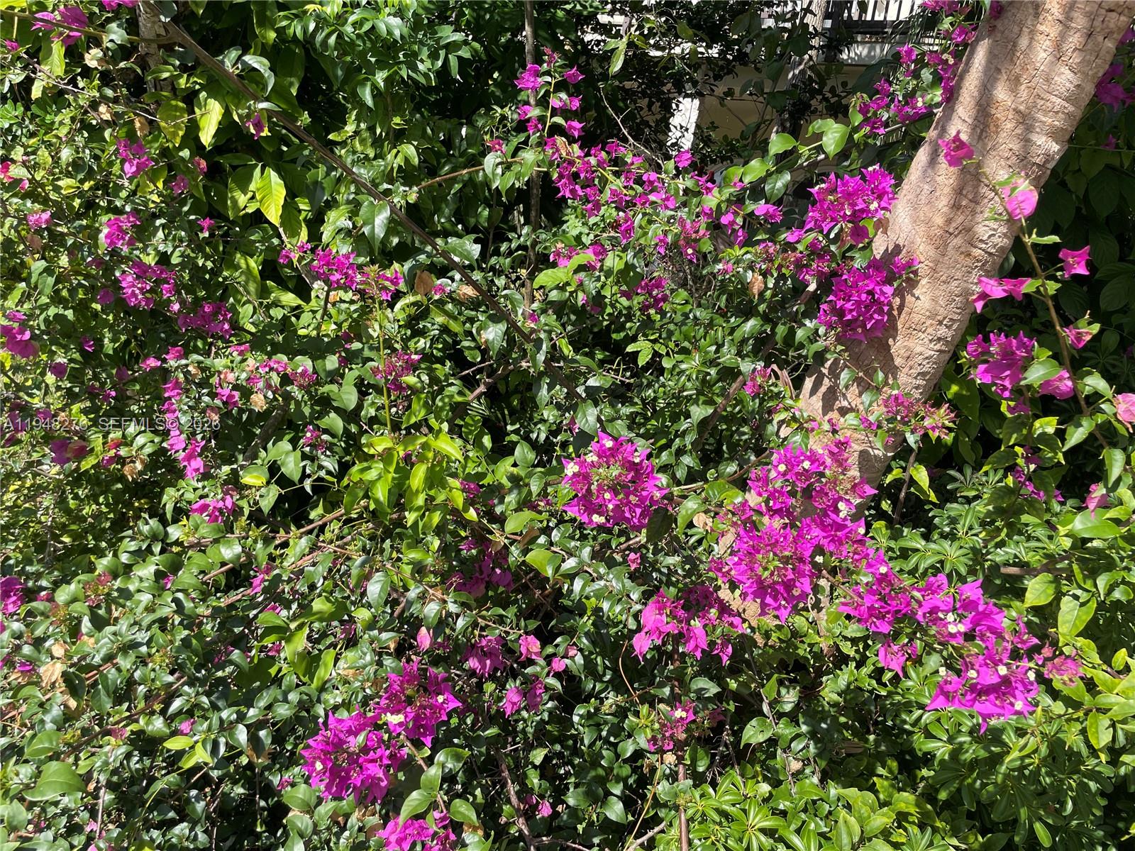 Prestigious Redlands - Residential