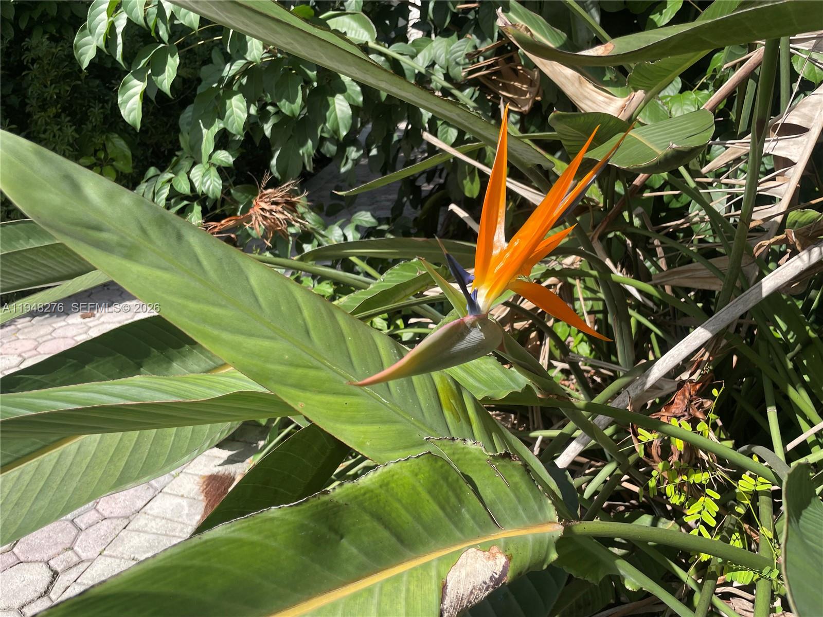 Prestigious Redlands - Residential