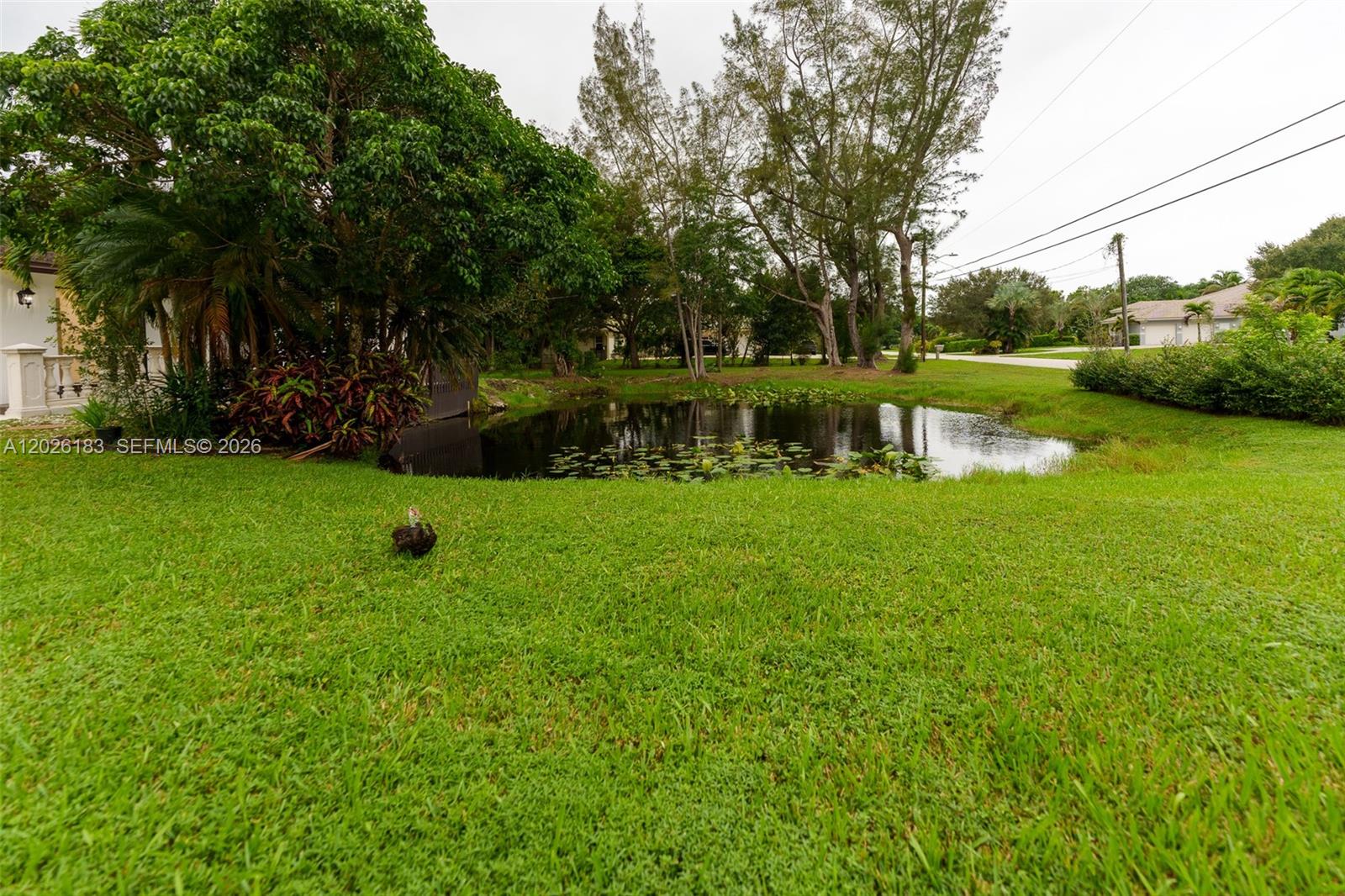 FLA FRUIT LANDS CO - Residential