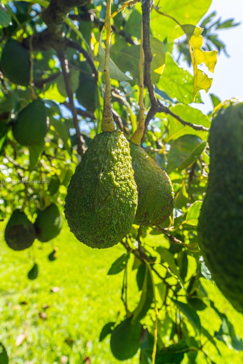 BREEZY OAKS - Residential