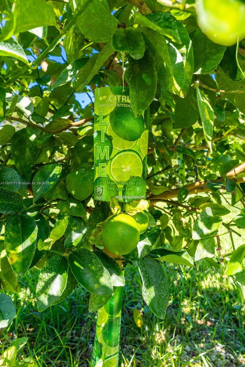 BREEZY OAKS - Residential