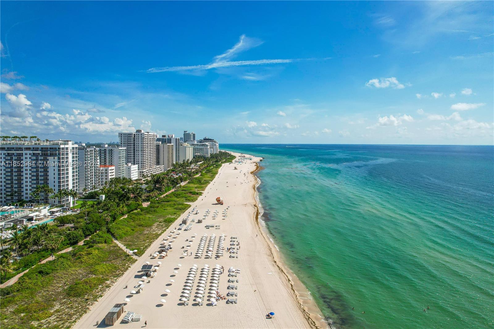 RONEY PALACE CONDO - Residential