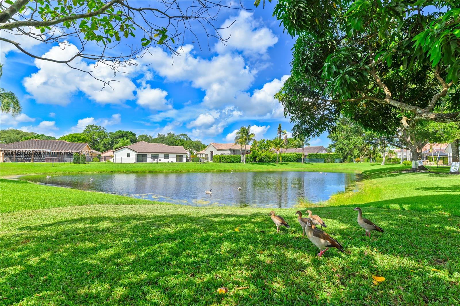 FOREST RIDGE SINGLE FAMIL - Residential Lease