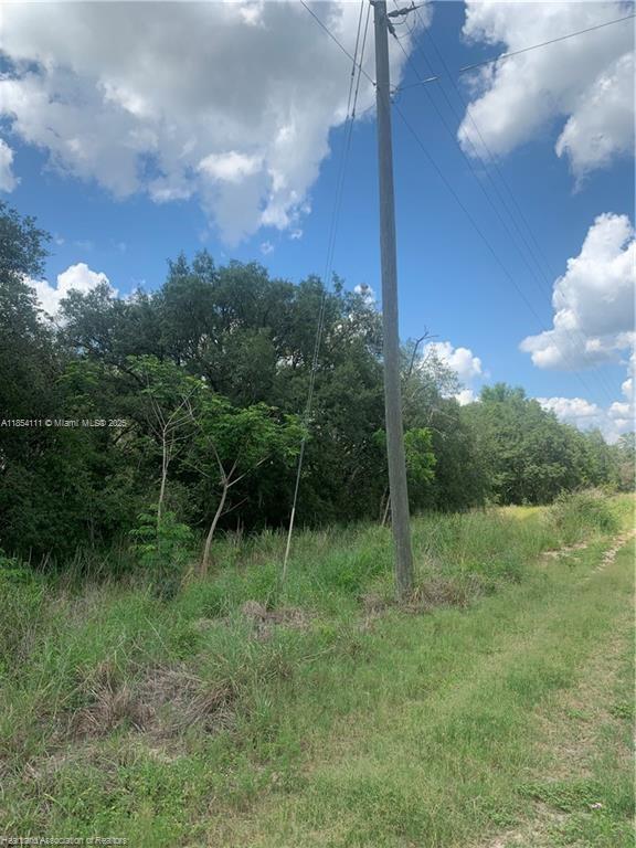 AVON PARK LAKES - Land