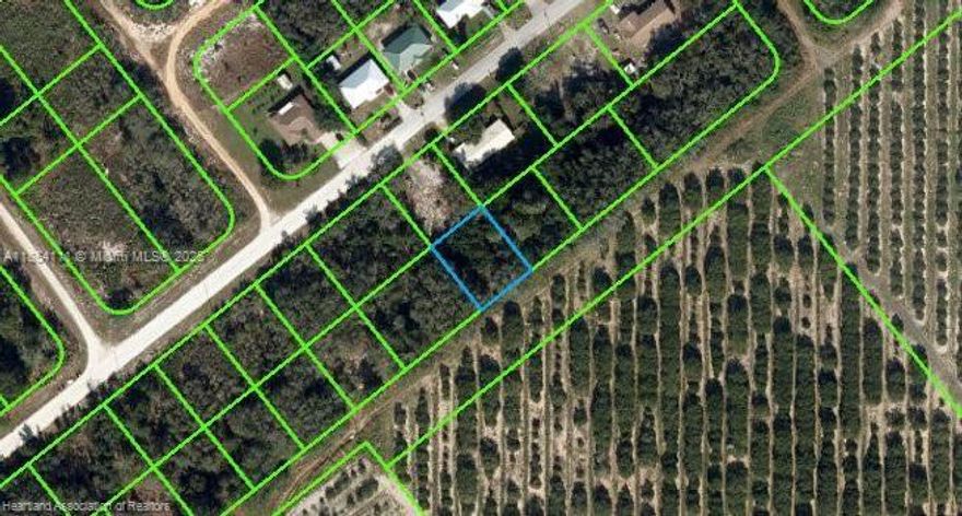 POWER & POSIBLE PUBLIC WATER !!! OWNER WILL FINANCE! 2,000 DOWN 398.31 A MONTH FOR 36 MONTHS AT 7% INTREST. WHAT A GREAT PIECE OF PROPERTY TO BUILD YOUR CUSTOM HOME, AT A GREAT PRICE! This 80 X 100 lot is located in popular Avon Park Lakes, which is just minutes from Shopping, Dining, Fitness Center, Hospital & Medical Center, and Downtown Avon Park. Walmart is just around the corner too! This property is in a great location, not too far from town but off the beaten path where it's quiet. Build your dream home or purchase it as an investment property.