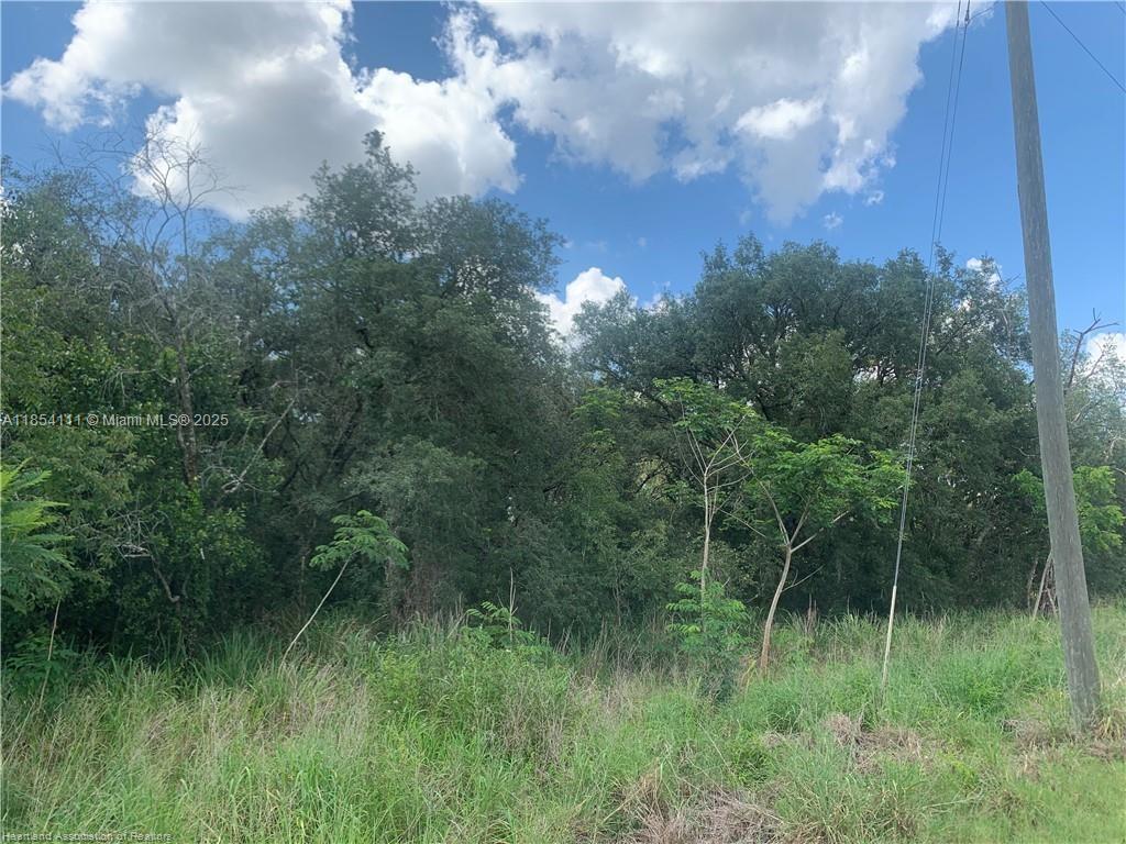 AVON PARK LAKES - Land