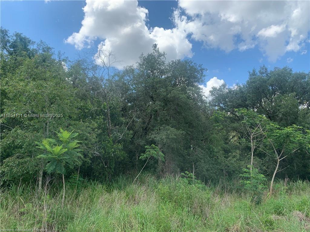 AVON PARK LAKES - Land