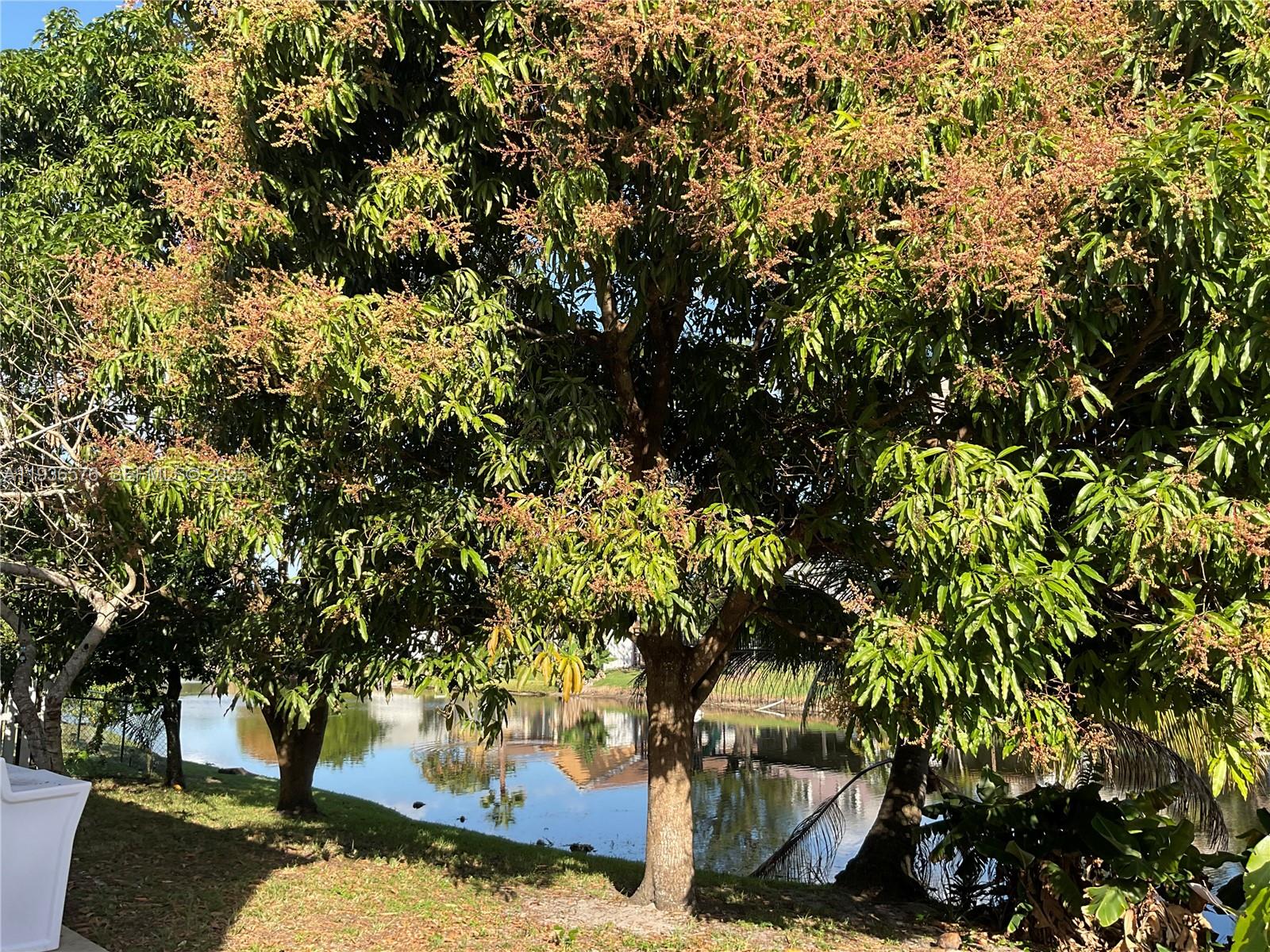 River Run - Residential