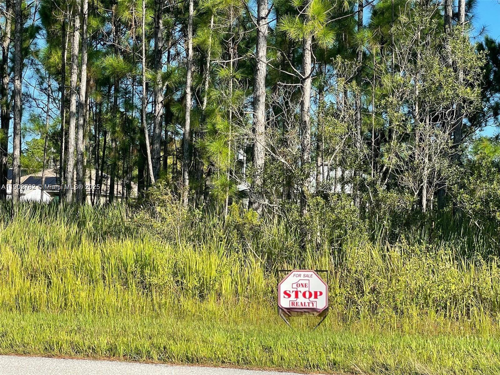 SUN N LAKES UNPOP - Land