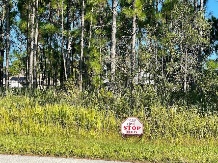 Vacant Land, Excellent Place to Build Your Dream Home on Pave Road Many Other Properties,
Already Being Build in the Area, Close to the Golf Course, Right On The Main Street of 
Sun N Lakes Blvd, The Community Offers 2 18-Hole Championship Golf Courses, Restaurant,
Clubhouse, Gym, Playground, Community Pool, Splash Pad, Community Center, Fitness Center, 
Pickle Ball, and Tennis. Sebring is Centrally Located 1.5 Hours From Disney,
Sun 'N Lake Elementary School PK-05 618 Enrollment 1.7 mile Hill-Gustat Middle School 06-10 705
Avon Park High School 09-12 928