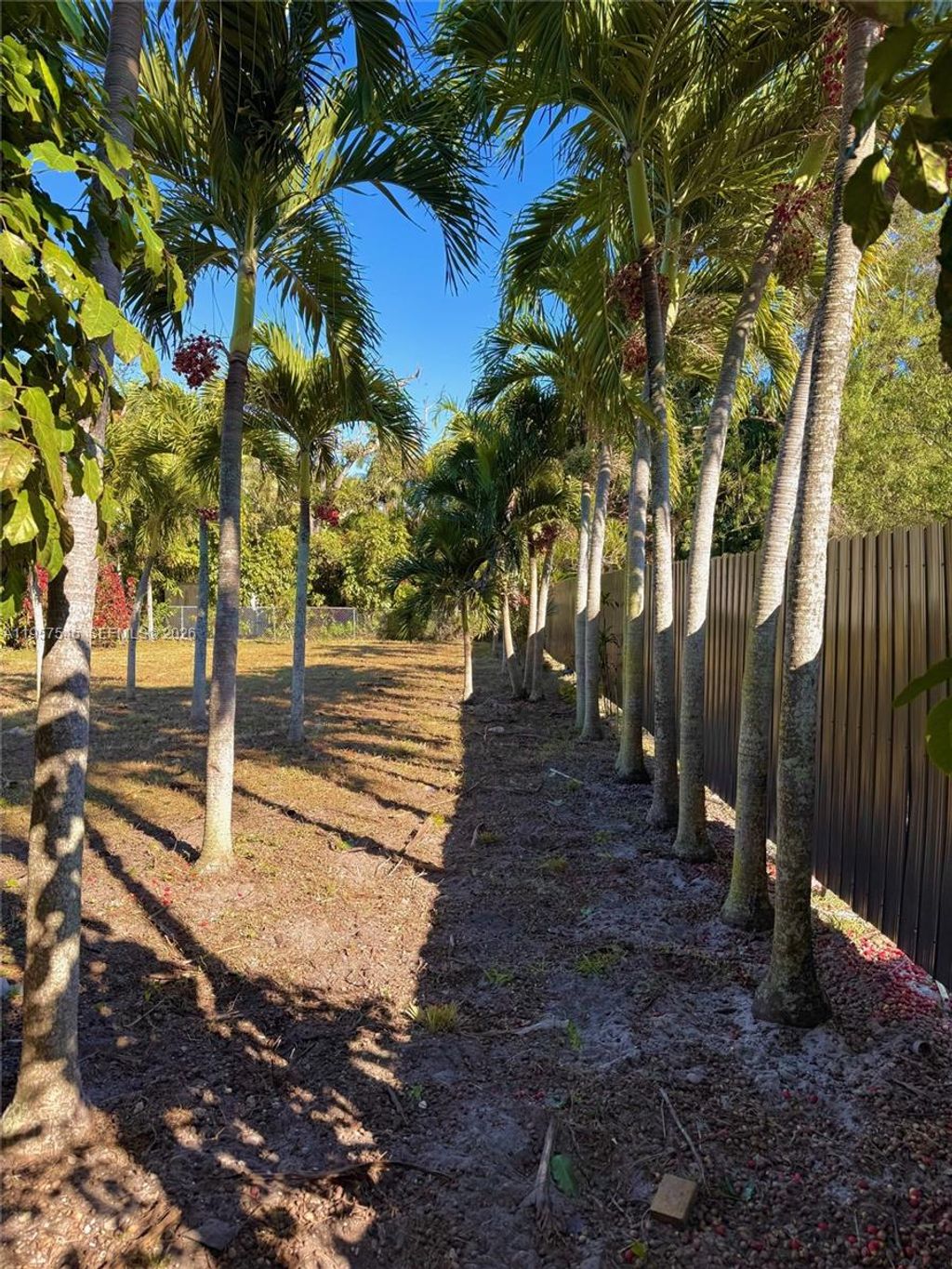 Photo of 11741 NE 13 Ave, Miami, FL 33161 (MLS # A11957545)