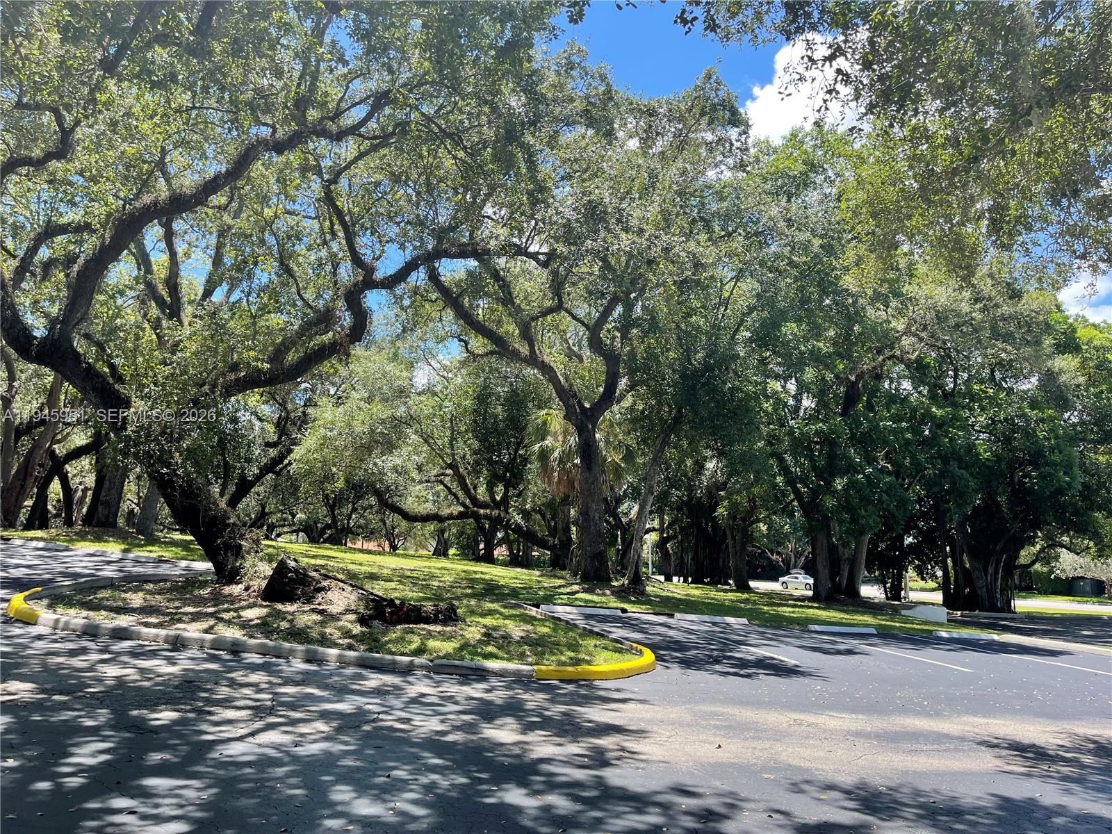 CONDO 2 OF SABAL PALM CON - Residential