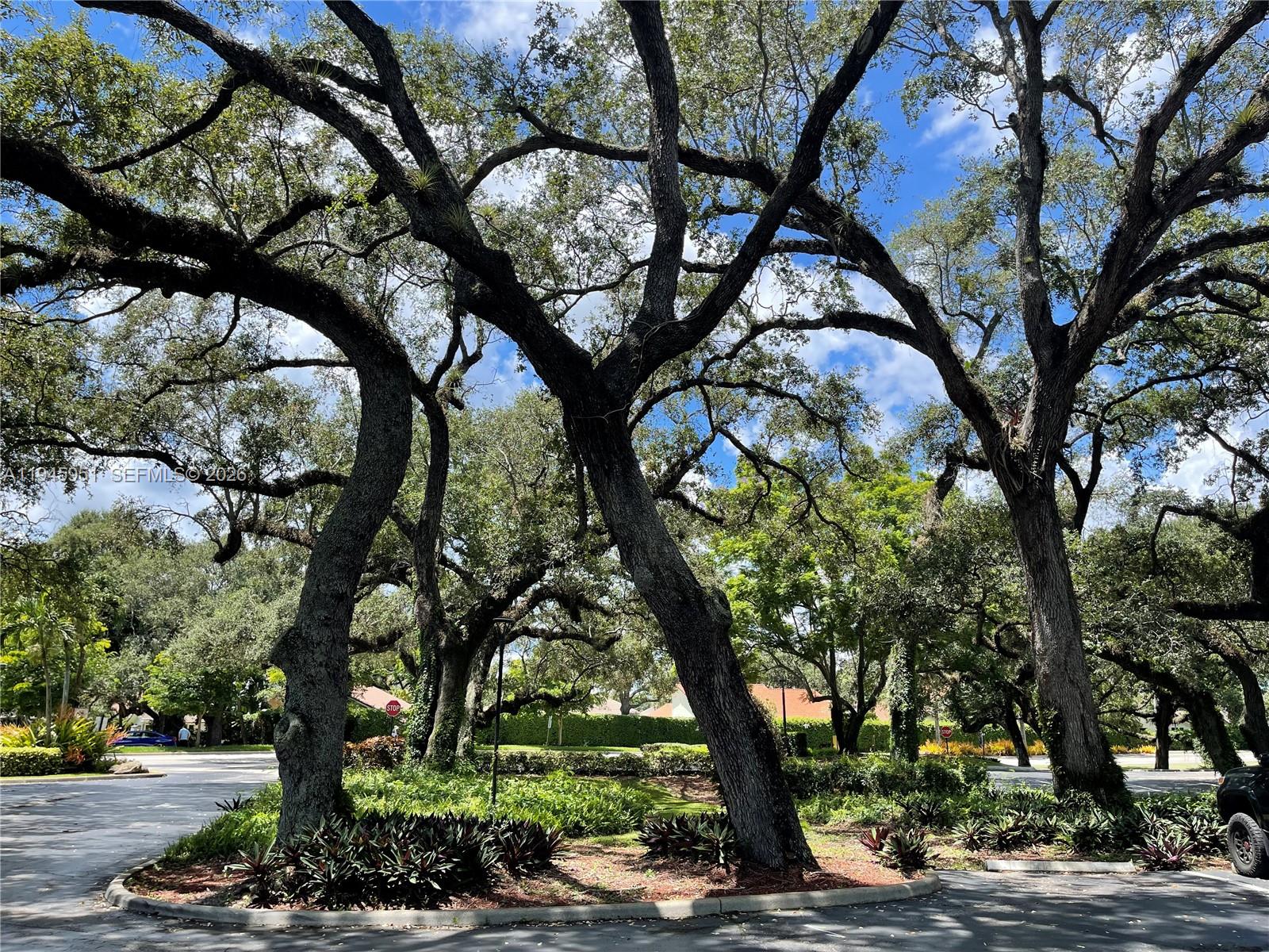 CONDO 2 OF SABAL PALM CON - Residential