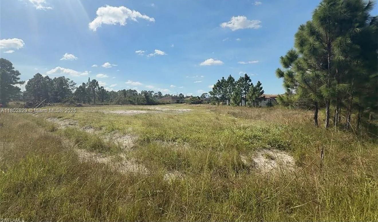 EXCELLENT OPPORTUNITY THIS LOT WITH 0.29 ACRES EASY TO ACCESS TO THE NEWLY EXPANDED HWY 82. THIS LAND HAVE SURVEY ALREADY CLEAN AND READY TO BUILD SELLER MOTIVATE