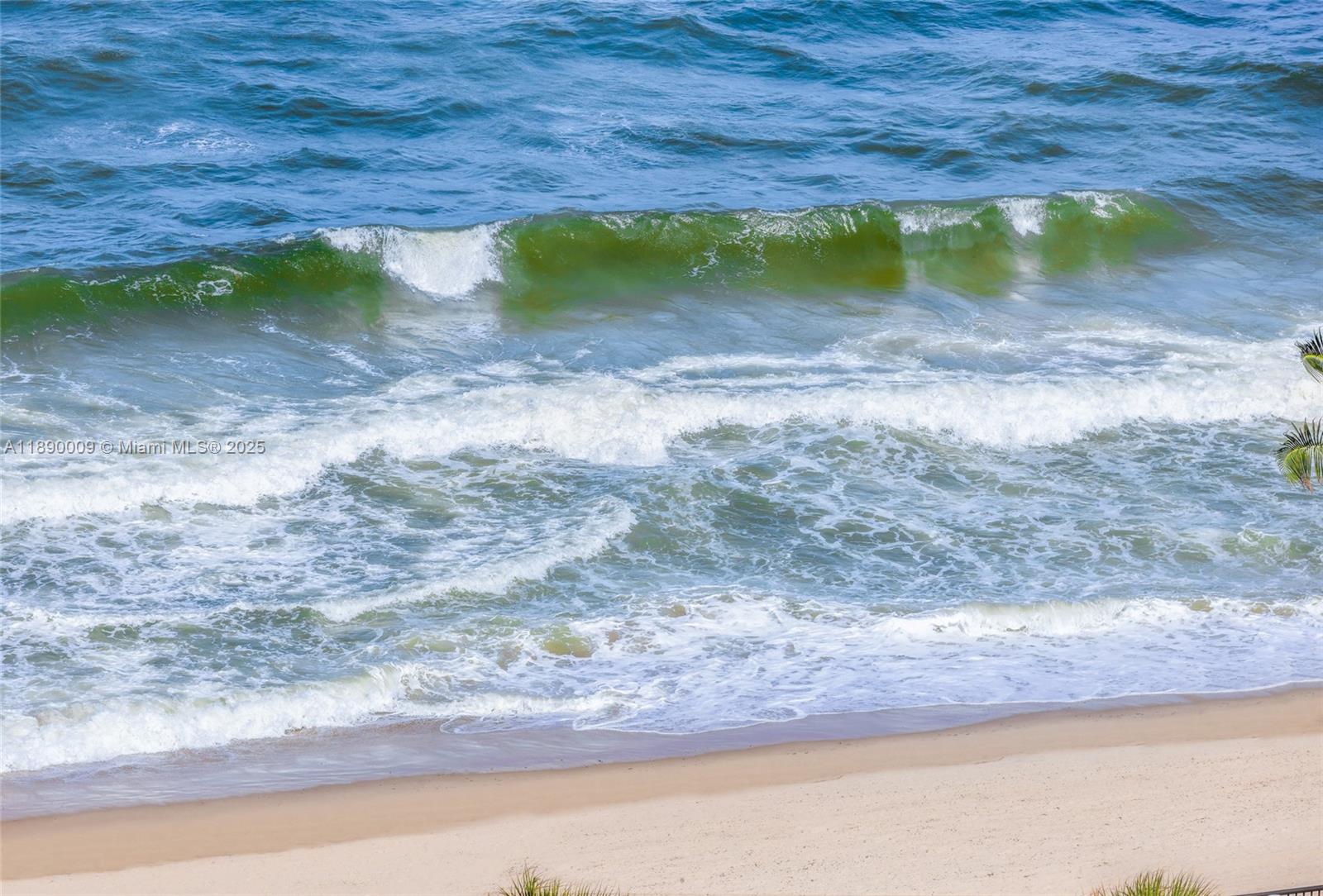 PLAZA SOUTH CONDO - Residential Lease