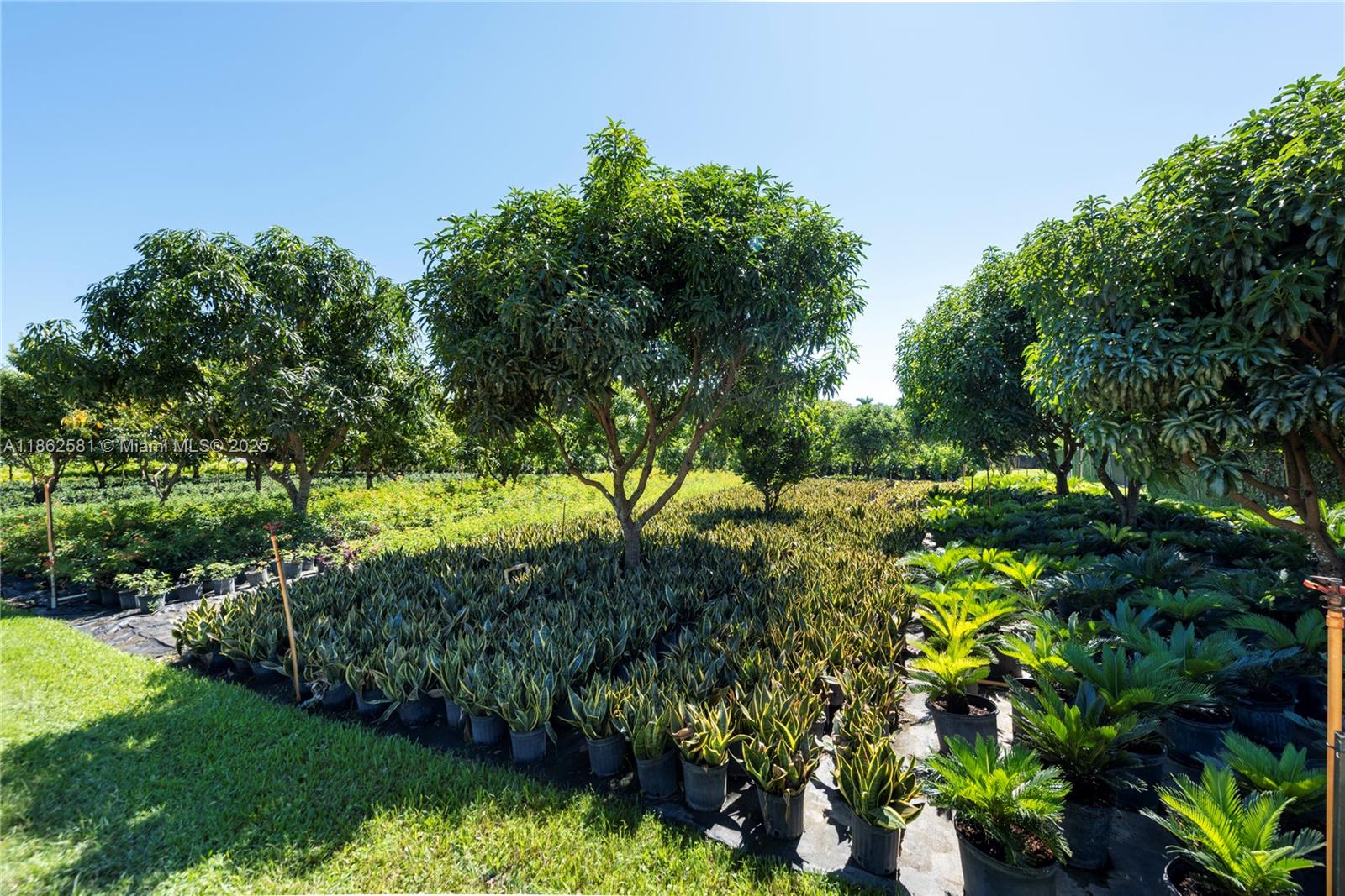 GRIFFIN 345 PLAT - Residential