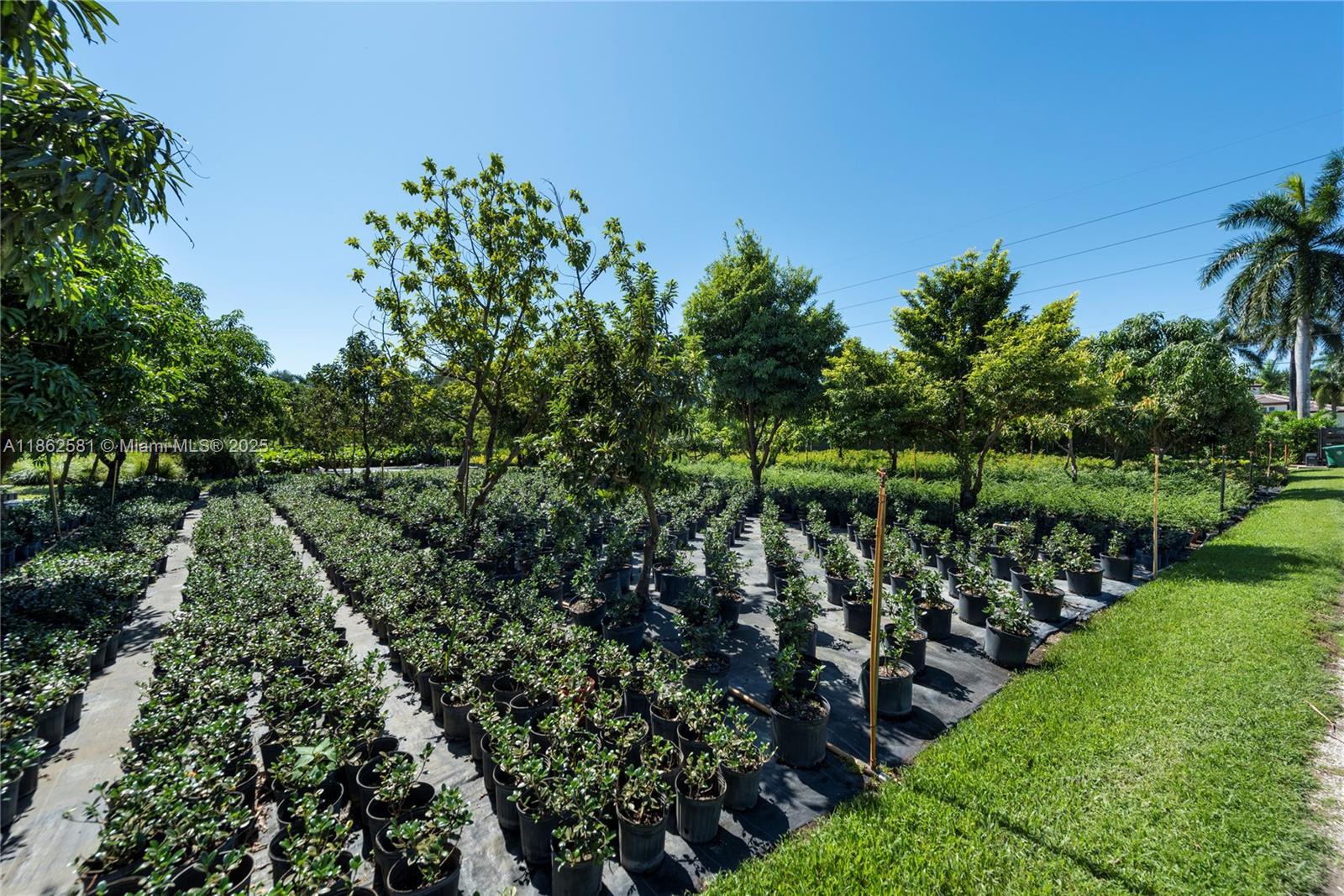 GRIFFIN 345 PLAT - Residential