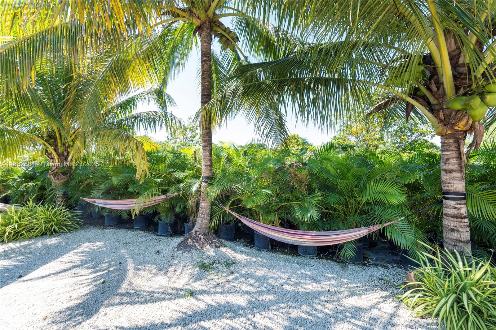 GRIFFIN 345 PLAT - Residential