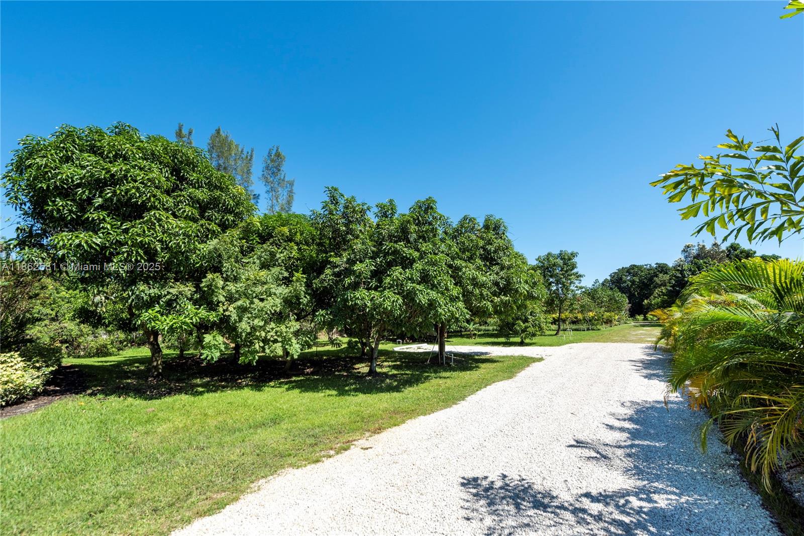 GRIFFIN 345 PLAT - Residential