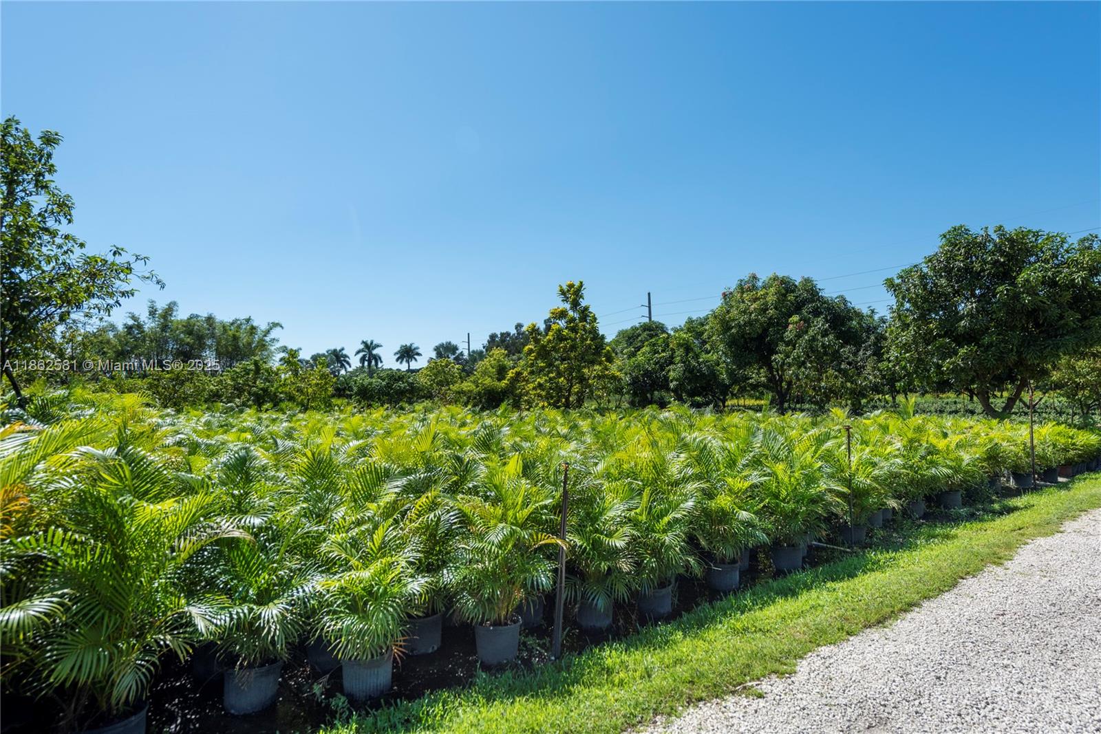 GRIFFIN 345 PLAT - Residential