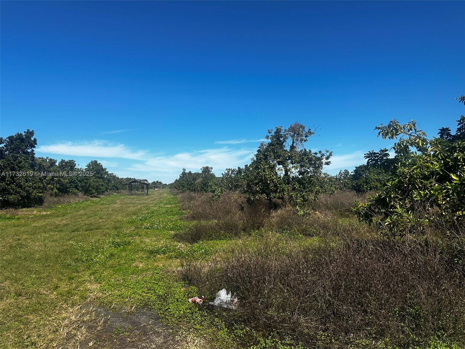 30 Acre professionally planted and maintained avocado grove.
Located at 202XX SW 228 St. (Folios: 30-6815-000-0160 AND 0170)
Prime Redland, excellent location, access to major transportation arteries.
Property includes on site sprinkler irrigation, 4 wells, 1 Detroit diesel pump.
Property is fully fenced and gated.
4510 multiple variety Avocado Trees. 329 Mango Trees.
Permitted uses are as allowed by Miami Dade County Agric Zoning.