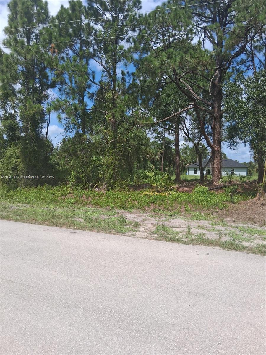 Excellent Opportunity to build your home in an area with other new construction homes being built. Just a short driver to fort Myer and Punta Gorda airport.
