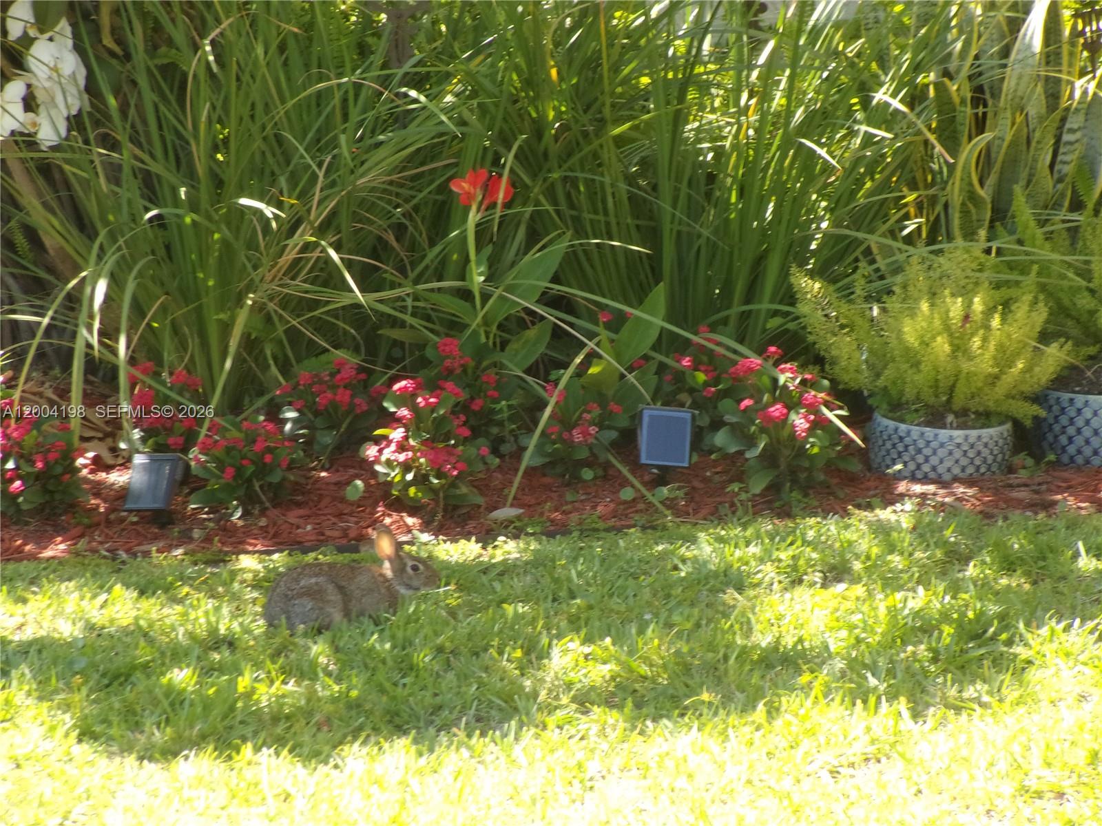 CHASEWOOD OF JUPITER - Residential