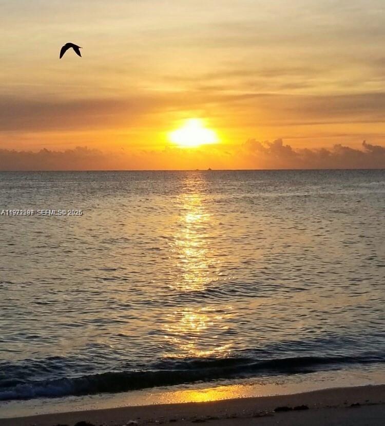 OCEAN VILLAS I CONDOMINIU - Residential