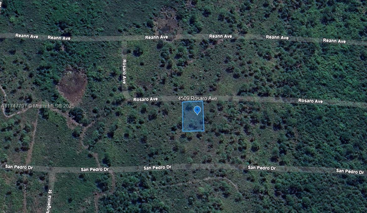 SUN N LAKE EST OF SEBRING - Land