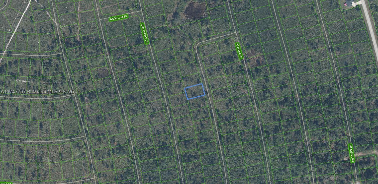 SUN N LAKE EST OF SEBRING - Land