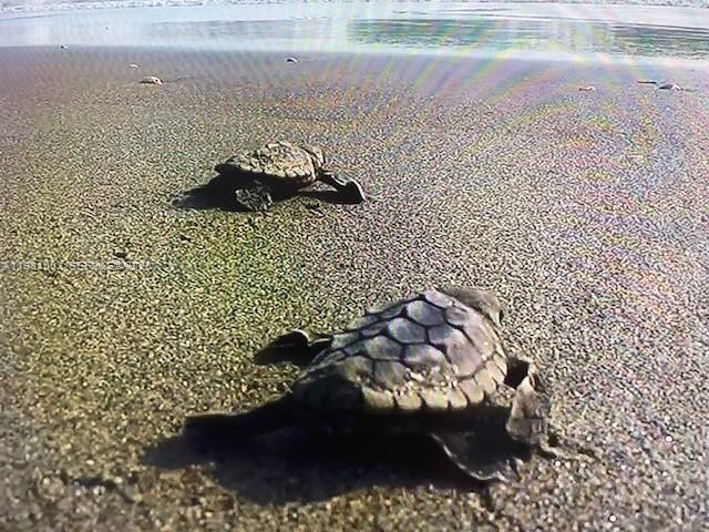 SEAWATCH AT JUPITER ISLAN - Residential