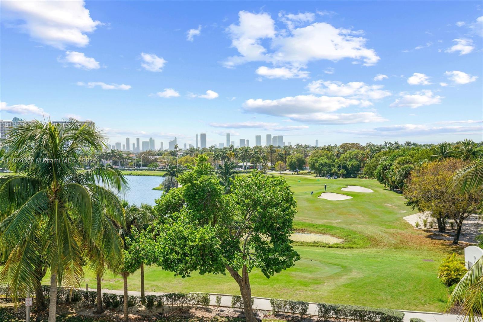 THE MERIDIAN CONDO - Residential