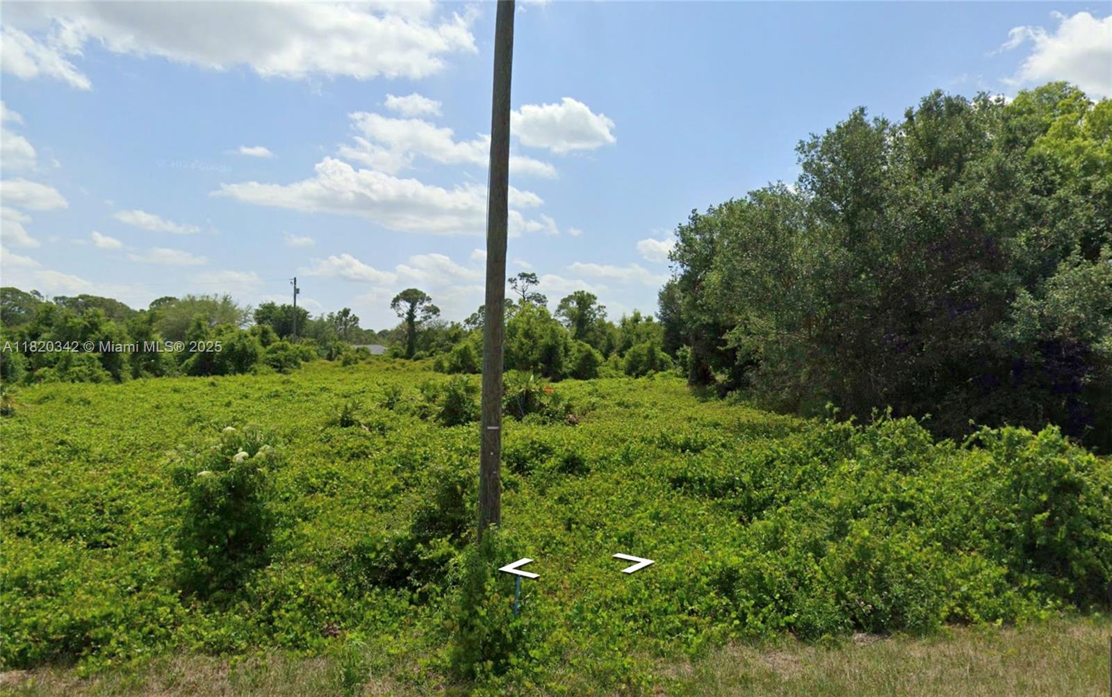 Development Opportunity in Highlands County. Newly emerging residential zoned community in Lake Placid with unused 10,000 SF site. Create your dream home with underground pool, with extra outdoor space to relax on the home of your dreams. Low taxes ($164 annually) makes ideal for investment / buy & hold scenario.
Area roads already paved and maintained by the county with power already, on the street. Seize the opportunity!