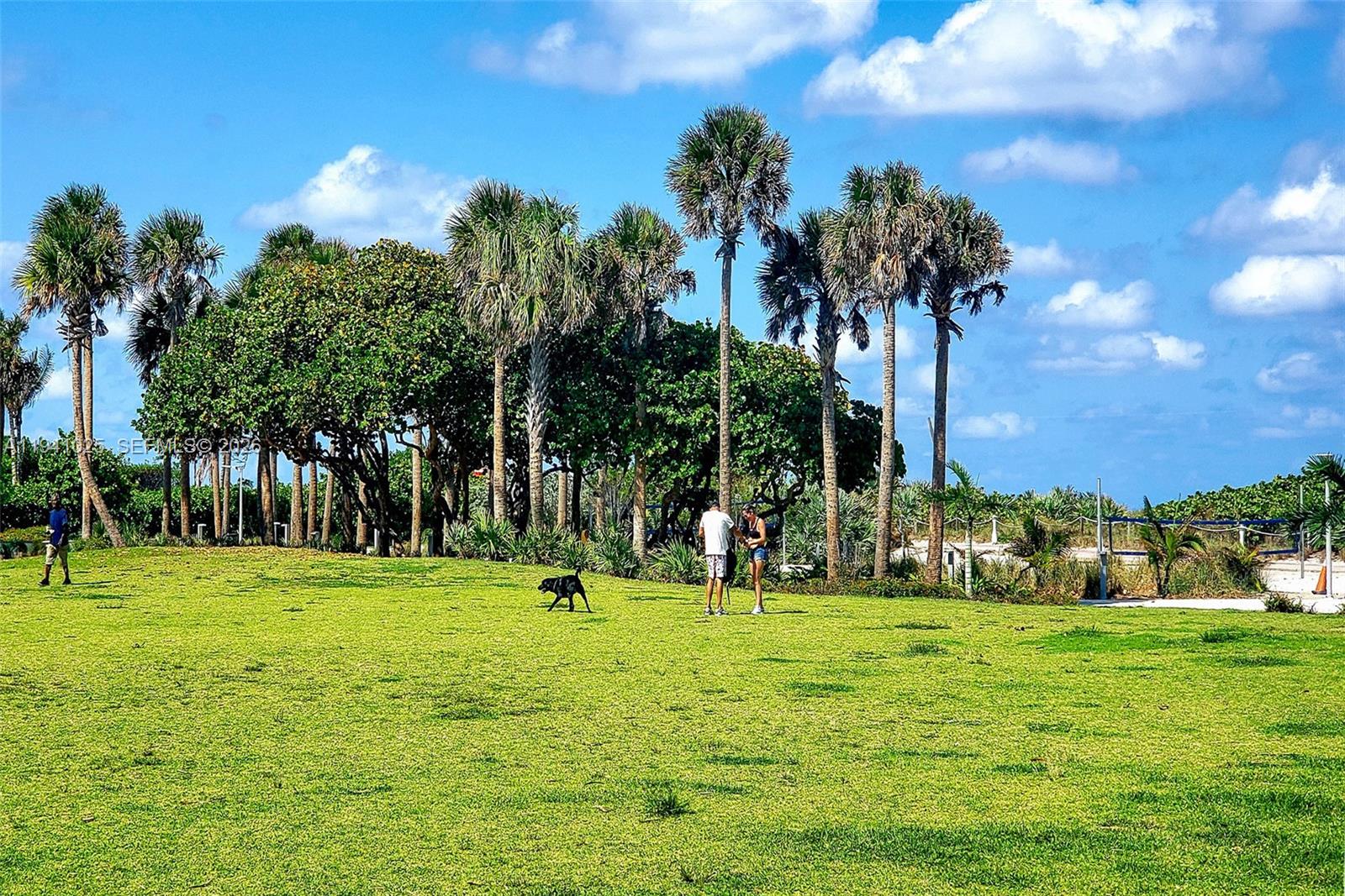 HAPPY APARTMENTS CONDO - Residential Lease